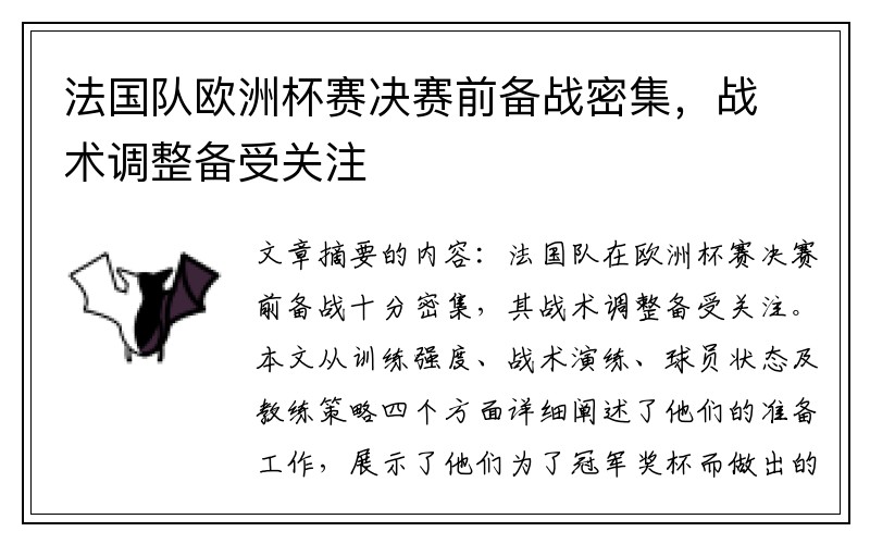 法国队欧洲杯赛决赛前备战密集，战术调整备受关注