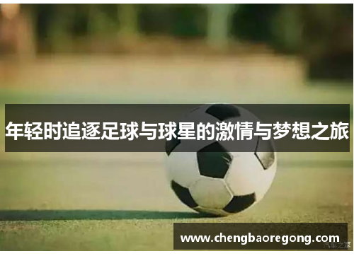 年轻时追逐足球与球星的激情与梦想之旅