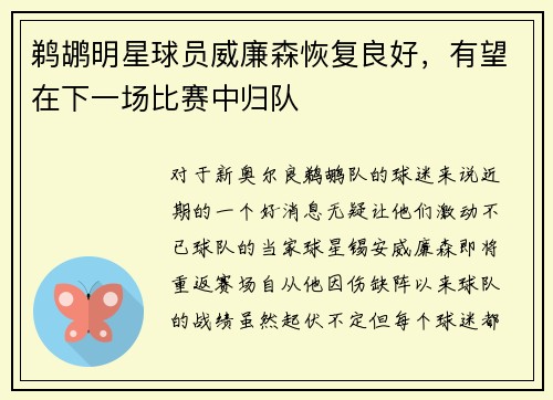 鹈鹕明星球员威廉森恢复良好，有望在下一场比赛中归队